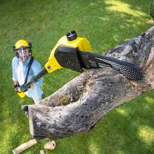 Best Emergency Tree Removal  in Spring Hill, FL